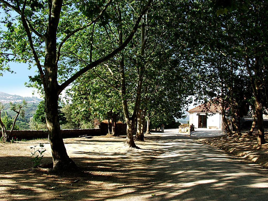 Casa De Vilarinho De S. Romao Sabrosa Exterior foto